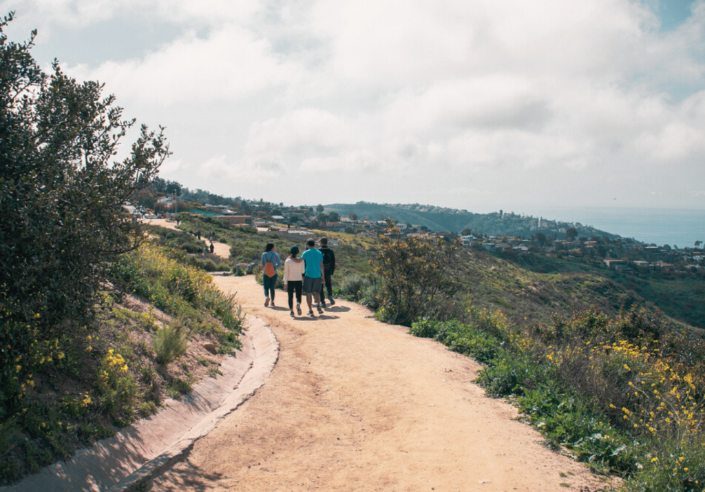 physicians taking a walk in recovery