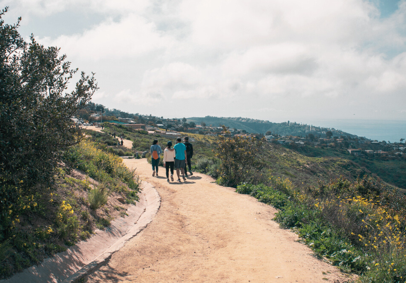 physicians taking a walk in recovery